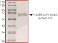 Product Element Image